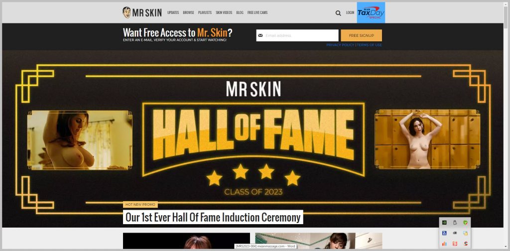 Mr Skin