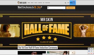 MrSKin